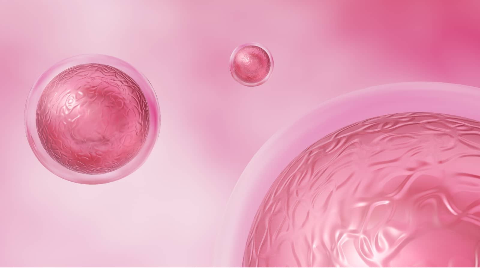 Células madre: avances y nuevas investigaciones